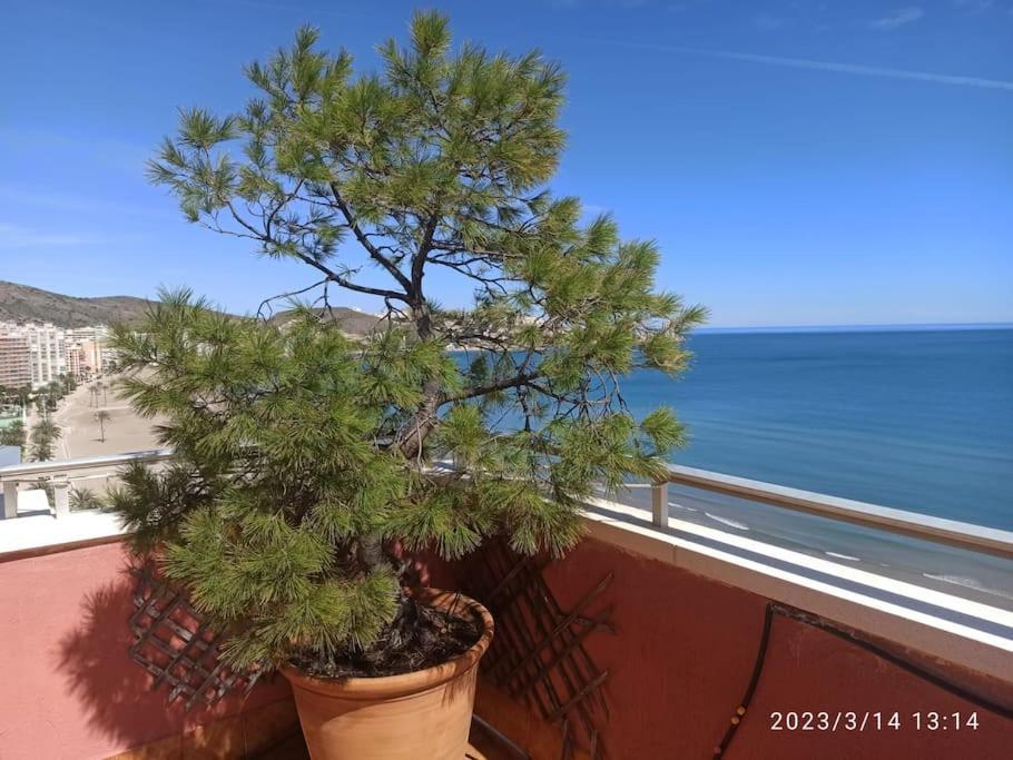 Апартаменты Espectacular Terraza Y Vistas En 1A Linea De Playa Кульера Экстерьер фото