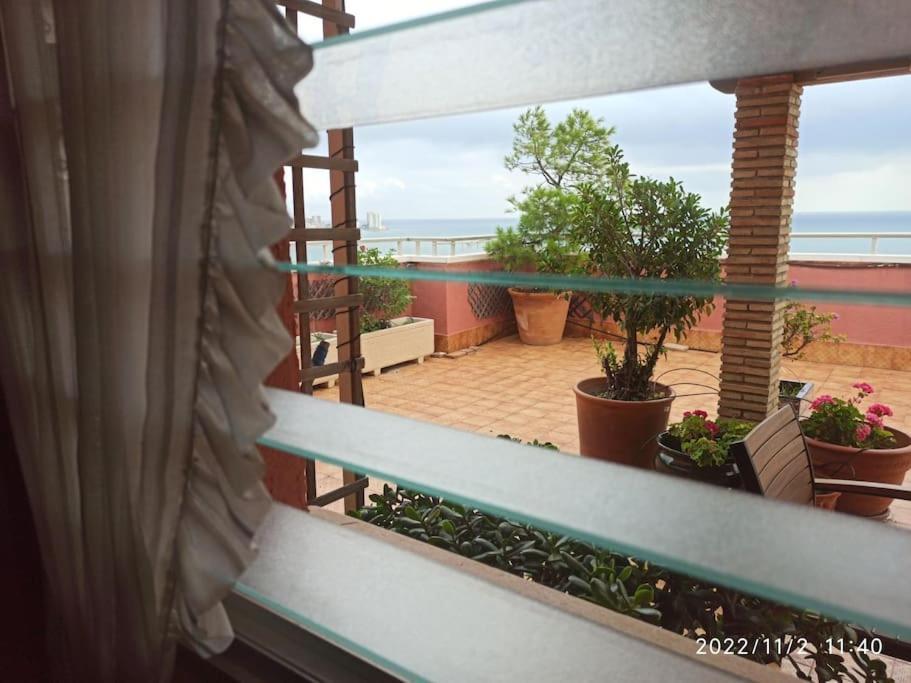 Апартаменты Espectacular Terraza Y Vistas En 1A Linea De Playa Кульера Экстерьер фото